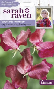 【種子】Johnsons Seeds Sarah Raven Cut flowers & gorgeous gardens Sweet Pea Windsor サラ・レイブン カットフラワーズ スイートピー