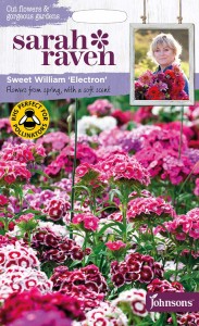 【種子】Johnsons Seeds Sarah Raven Cut flowers & gorgeous gardens Sweet William Electron スイート・ウイリアム（なでしこ） エレク