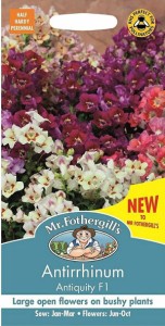 【種子】Mr.Fothergills Seeds Antirrhinum Antiquity F1  アンチヒナム（金魚草）アンチクワイティ F1  ミスター・フォザーギルズシード