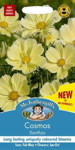 【種子】Mr.Fothergills Seeds Cosmos Xanthos コスモス クサントス ミスター・フォザーギルズシード