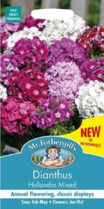 【種子】Mr.Fothergills Seeds Dianthus Hollandia Mixed ダイアンサス(なでしこ) ホランディア・ミックス ミスター・フォザーギルズシー