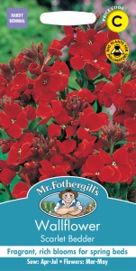 【種子】Mr.Fothergills Seeds Wallflower Scarlet Bedder ウォールフラワー スカーレット・ベッダー ミスター・フォザーギルズシード