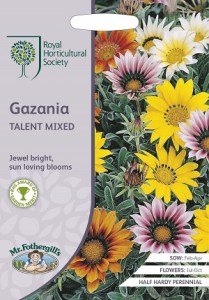 【種子】Mr.Fothergills Seeds Royal Horticultural Society Gazania TALENT MIXED RHS ガザニア タレント・ミックス ミスター・フォザー