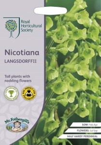 【種子】Mr.Fothergills Seeds Royal Horticultural Society Nicotiana langsdorffii RHS ニコチアナ（ハナタバコ）ラングスドリフ ミス