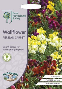 【種子】Mr.Fothergills Seeds Royal Horticultural Society Wallflower PERSIAN CARPET ウォールフラワー ペルシャン・カーペット ミス