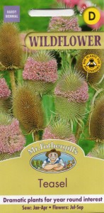 【種子】 Mr.Fothergills Seeds WILDFLOWER Teasel ワイルドフラワー ティーゼル ミスター・フォザーギルズシード