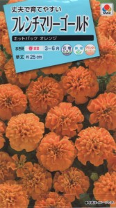 【種子】フレンチマリーゴールド ホットパック オレンジ タキイ種苗のタネ