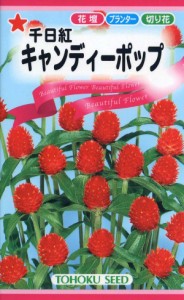 【種子】千日紅 キャンディーポップ トーホクのタネ