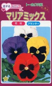 寄せ 植え パンジーの通販 Au Pay マーケット