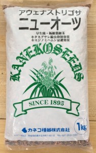 【種子】えん麦 ニューオーツ 1kg カネコ種苗