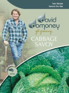 【種子】Mr.Fothergills Seeds david domoney CABBAGE (Savoy) Ormskirk デイヴィッド・ドモニーキャベツ (サヴォイ) オームズカーク ミ
