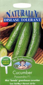 【種子】Mr.Fothergills Seeds Cucumber Passandra F1 キューカンバー パサンドラ・F1 ミスター・フォザーギルズシード