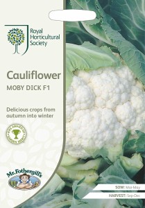 【種子】Mr.Fothergills Seeds Royal Horticultural Society Cauliflower MOBY DICK F1 RHS カリフラワー モビー・ディック F1 ミスター