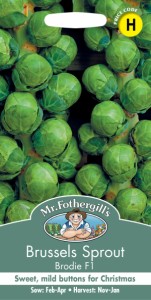 【種子】Mr.Fothergills Seeds Brussels Sprout Brodie ブリュッセルズ・スプラウト （芽キャベツ） ブロディ ミスター・フォザーギルズ