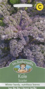 【種子】Mr.Fothergills Seeds Kale Scarlet ケール スカーレット ミスター・フォザーギルズシード