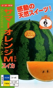 【種子】西瓜（スイカ） サマーオレンジM（ミドル）  ナント種苗のタネ