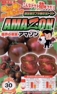 【種子】強旨味ゼブラ柄中玉トマト AMAZON(アマゾン) ナント種苗のタネ