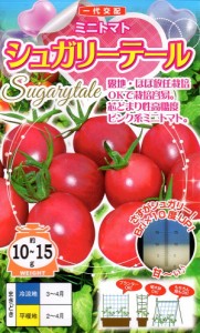 【種子】 ミニトマト シュガリーテール ナント種苗のタネ