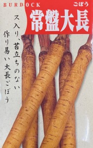 【種子】ごぼう 常盤大長 日本タネセンターのタネ