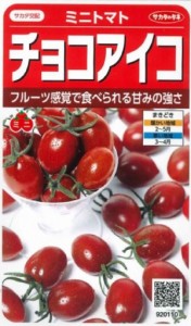 【種子】 ミニトマト チョコアイコ サカタのタネ