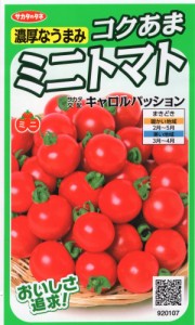 【種子】コクあまミニトマト キャロルパッション サカタのタネ