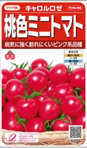 【種子】桃色ミニトマト キャロルロゼ サカタのタネ
