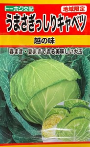 【種子】うまさぎっしりキャベツ 越の味 トーホクのタネ