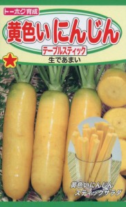 【種子】 ニンジン黄色いにんじんテーブルスティック トーホクのタネ