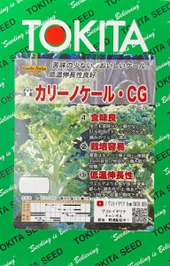 【種子】カリーノケール・CG トキタ種苗のタネ