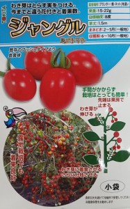 【種子】ジャングル ミニトマト　トキタ種苗のタネ