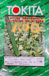 【種子】男の野菜 キュウリ パリQ トキタ種苗のタネ