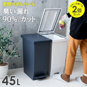 臭わない ゴミ箱 45lの通販｜au PAY マーケット