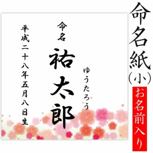 デザイン命名紙 （梅）【命名書台紙（小）専用】 赤ちゃん 命名書 命名紙 かわいい 