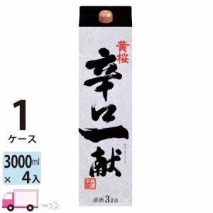 黄桜 辛口一献 3L(3000ml) 4本入 1ケース(4本) 【送料無料 (一部地域除く)】