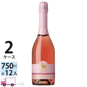 サンタ ヘレナ アルパカ スパークリングワイン ロゼ 750ml 2ケース(12本) ロゼ 辛口 【送料無料 (一部地域除く)】