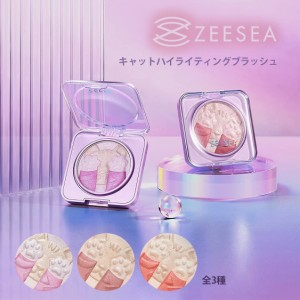 【国内発送・正規品・送料無料・即納】キャットハイライティングブラッシュ ZEESEA（ズーシー） 正規代理店 360°回転デザイン 透明感 光