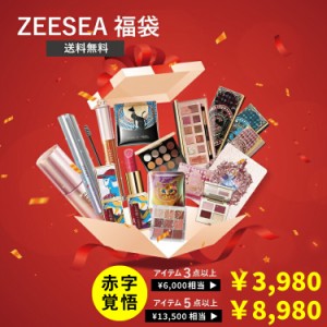 正規品 福袋 ZEESEA ズーシー  大人気アイシャドウが必ず入る！ 日本語 中国コスメ 半額 数量限定 アイシャドウ リップ 口紅 マスカラ カ