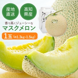 高級 マスクメロン 1玉 約 1.3〜1.5kg【 ご家庭用 】【 送料無料 】※但し、北海道・沖縄は別途送料が必要( 西島園芸団地 ) お取り寄せ 