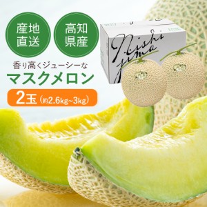 お中元 御中元   高級 マスクメロン 2玉 約 3kg【 ご家庭用 】【 送料無料 】※但し、北海道・沖縄は別途送料が必要( 西島園芸団地 ) お