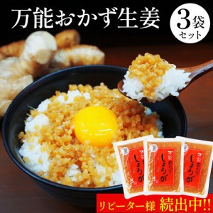 【DM便で送料無料】生姜　高知県産生姜使用！【食べる生姜】【おかず生姜】そ【万能おかず生姜】【おかずしょうが】3袋セット