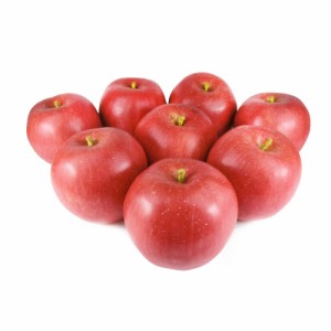 GuCra　グクラ　りんご　本物そっくりな模型　8個セット　食品サンプル　果物模型 (ふじEX)