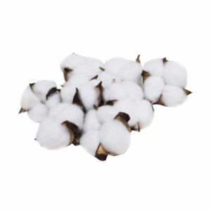 綿花　コットン　コットンフラワー　造花　ドライフラワー　8個パック　ディスプレイ　飾りつけ　花の直径約5cm