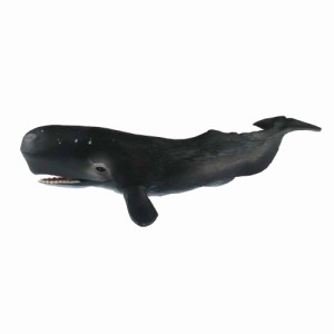 クジラ フィギュアの通販｜au PAY マーケット