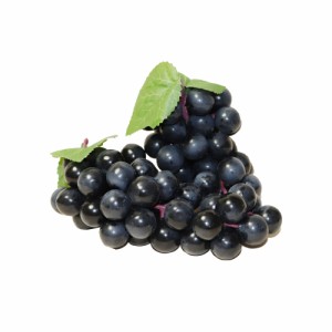 GuCra　グクラ　ぶどう　2房セット　長さ16cm　本物そっくりな果物模型　葡萄　ブドウ　美術用品　食品サンプル　黒葡萄