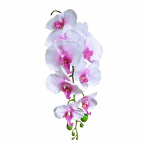 蘭　ラン　造花　1本　ピンクホワイト　大　002-060　花びらの大きさ：7〜12cm、9輪