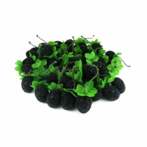 GuCra　グクラ　果物模型　ラズベリー　(ノーマル)　木苺　50個パック　食品サンプル (ブラック)