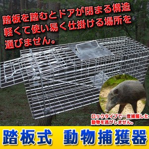 捕獲器 動物捕獲器 トラップゲージ 65×23×28cm 捕獲機 捕獲器 保護 踏板 踏み板 アニマル 動物 保護 踏板 踏み板 ノネコ タヌキ ハクビ