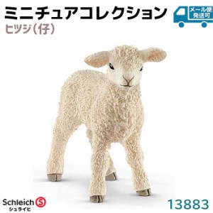 フィギュア ヒツジ 仔 13883 Schleich シュライヒ 子羊 動物フィギュア デザイン おしゃれ おもちゃ プレゼント インテリア ギフト ミニ