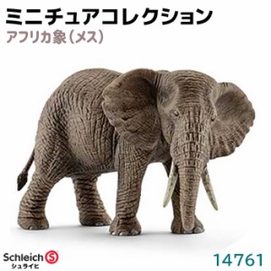 フィギュア アフリカ象 メス 14761 Schleich シュライヒ 象 動物フィギュア デザイン おしゃれ おもちゃ プレゼント インテリア ギフト 