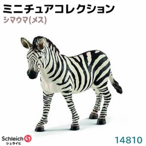 フィギュア シマウマ メス 14810 Schleich シュライヒ 動物フィギュア デザイン おしゃれ おもちゃ プレゼント インテリア ギフト ミニチ